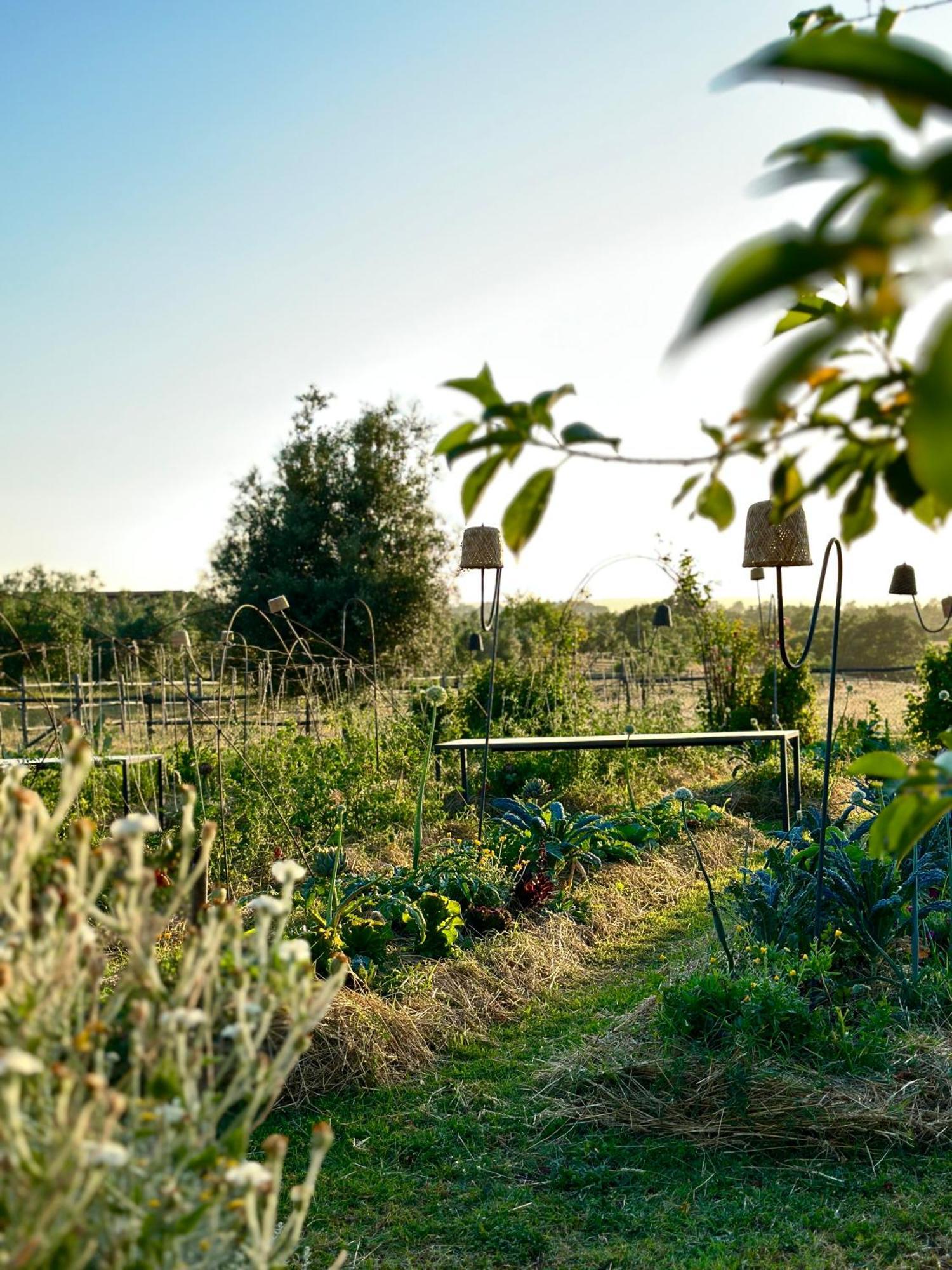 Tenuta Di Paternostro Ветрала Екстериор снимка
