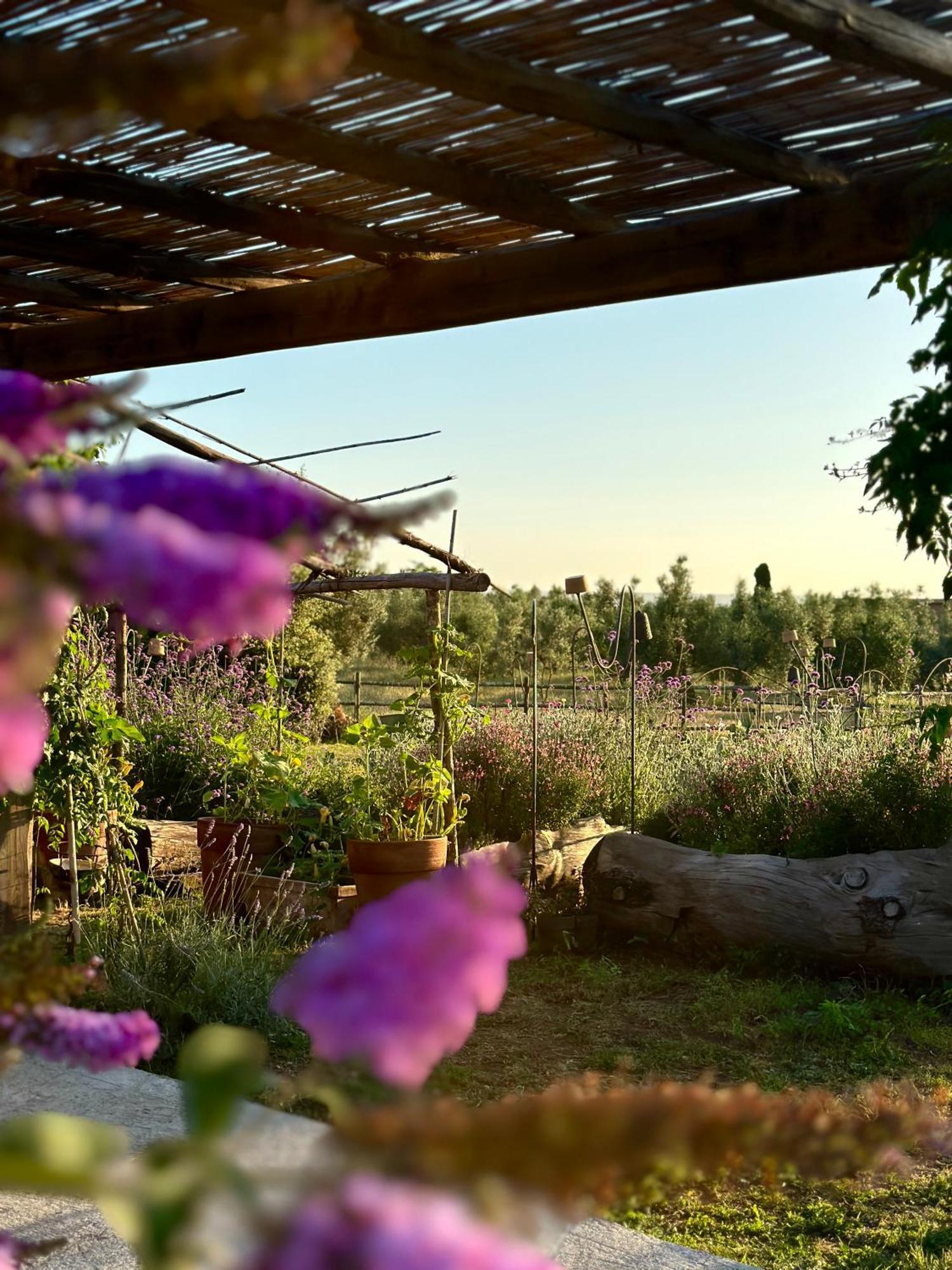 Tenuta Di Paternostro Ветрала Екстериор снимка