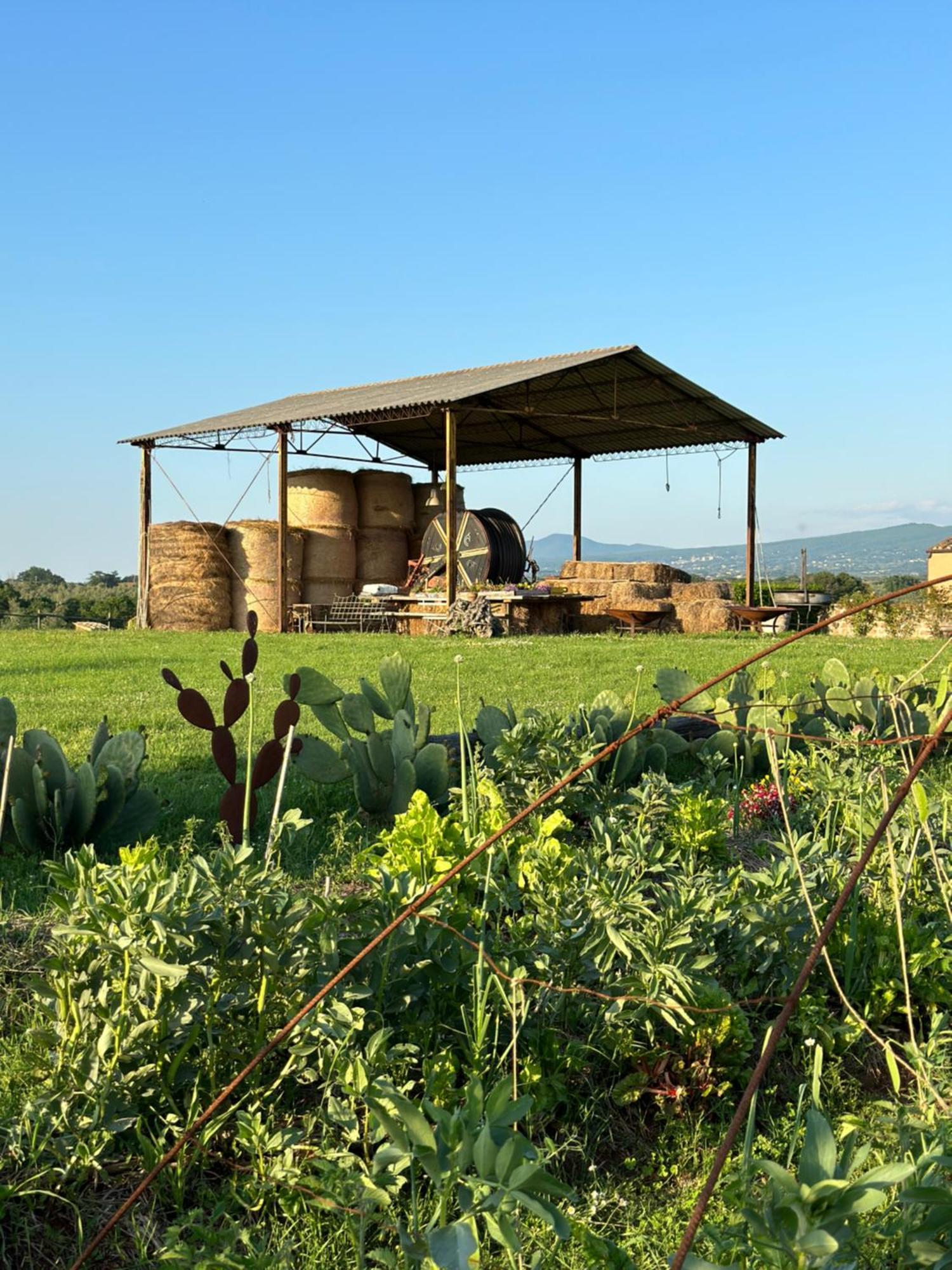 Tenuta Di Paternostro Ветрала Екстериор снимка